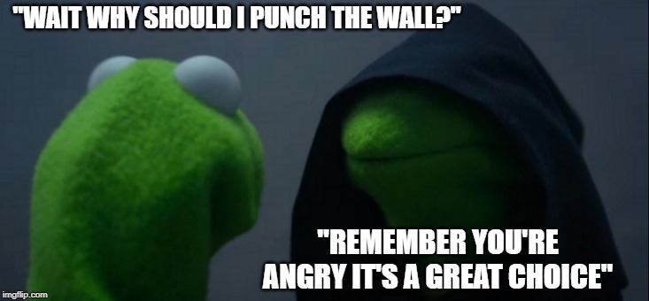 Evil Kermit | "WAIT WHY SHOULD I PUNCH THE WALL?"; "REMEMBER YOU'RE ANGRY IT'S A GREAT CHOICE" | image tagged in memes,evil kermit | made w/ Imgflip meme maker