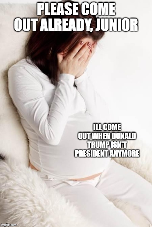 pregnant hormonal | PLEASE COME OUT ALREADY, JUNIOR; ILL COME OUT WHEN DONALD TRUMP ISN'T PRESIDENT ANYMORE | image tagged in pregnant hormonal,memes,donald trump memes | made w/ Imgflip meme maker