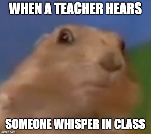 WHEN A TEACHER HEARS; SOMEONE WHISPER IN CLASS | image tagged in memes,dramatic,funny animals | made w/ Imgflip meme maker