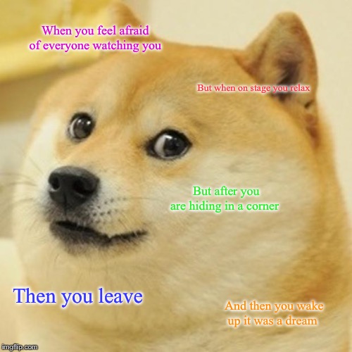 Doge | When you feel afraid of everyone watching you; But when on stage you relax; But after you are hiding in a corner; Then you leave; And then you wake up it was a dream | image tagged in memes,doge | made w/ Imgflip meme maker