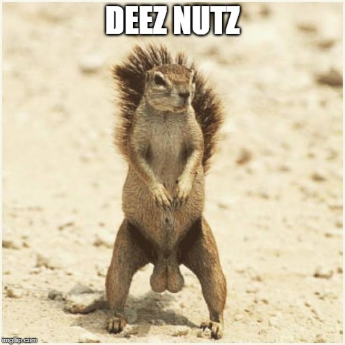 DEEZ NUTS - Imgflip