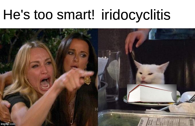 Woman Yelling At Cat | He's too smart! iridocyclitis | image tagged in memes,woman yelling at cat | made w/ Imgflip meme maker