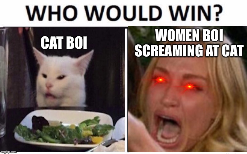 Day 3 | WOMEN BOI SCREAMING AT CAT; CAT BOI | image tagged in who would win,cat boi,woman yelling at cat,day three | made w/ Imgflip meme maker