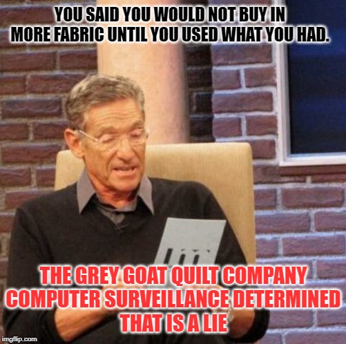 Maury Lie Detector | YOU SAID YOU WOULD NOT BUY IN MORE FABRIC UNTIL YOU USED WHAT YOU HAD. THE GREY GOAT QUILT COMPANY
COMPUTER SURVEILLANCE DETERMINED
THAT IS A LIE | image tagged in memes,maury lie detector | made w/ Imgflip meme maker