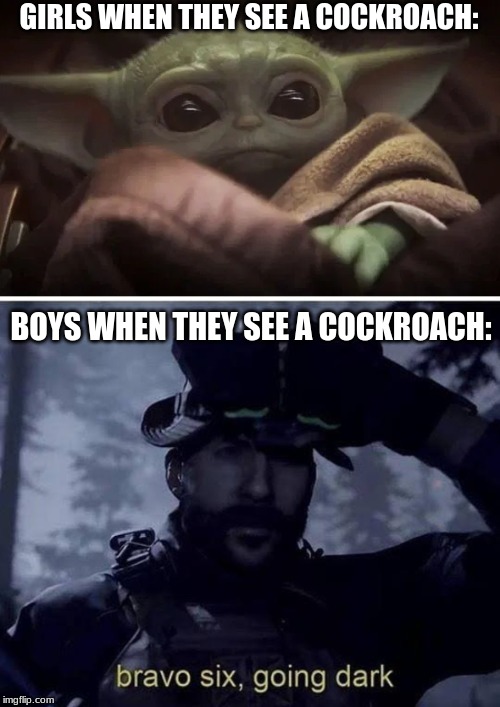GIRLS WHEN THEY SEE A COCKROACH:; BOYS WHEN THEY SEE A COCKROACH: | image tagged in bravo six going dark,baby yoda | made w/ Imgflip meme maker
