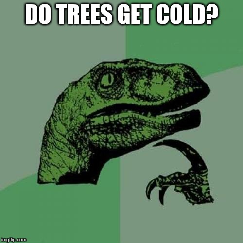 Philosoraptor | DO TREES GET COLD? | image tagged in memes,philosoraptor | made w/ Imgflip meme maker