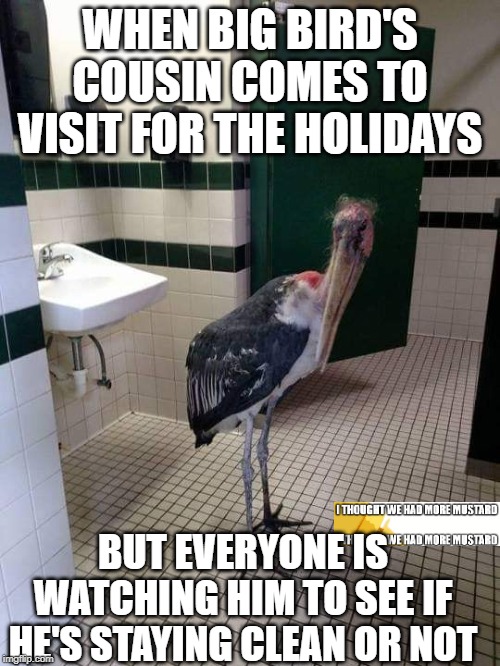Big Bird's Addict Cousin | WHEN BIG BIRD'S COUSIN COMES TO VISIT FOR THE HOLIDAYS; BUT EVERYONE IS WATCHING HIM TO SEE IF HE'S STAYING CLEAN OR NOT | image tagged in big bird | made w/ Imgflip meme maker