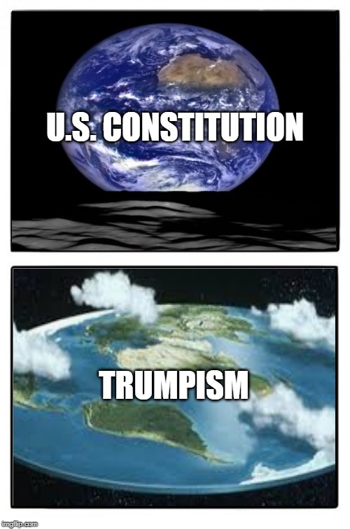 Point of View | U.S. CONSTITUTION; TRUMPISM | image tagged in point of view | made w/ Imgflip meme maker