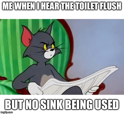 Tom reading newspaper | ME WHEN I HEAR THE TOILET FLUSH; BUT NO SINK BEING USED | image tagged in tom reading newspaper | made w/ Imgflip meme maker