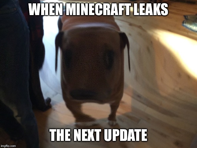 WHEN MINECRAFT LEAKS; THE NEXT UPDATE | image tagged in minecraft,funny | made w/ Imgflip meme maker