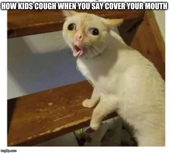 Coughing Cat | HOW KIDS COUGH WHEN YOU SAY COVER YOUR MOUTH | image tagged in coughing cat | made w/ Imgflip meme maker