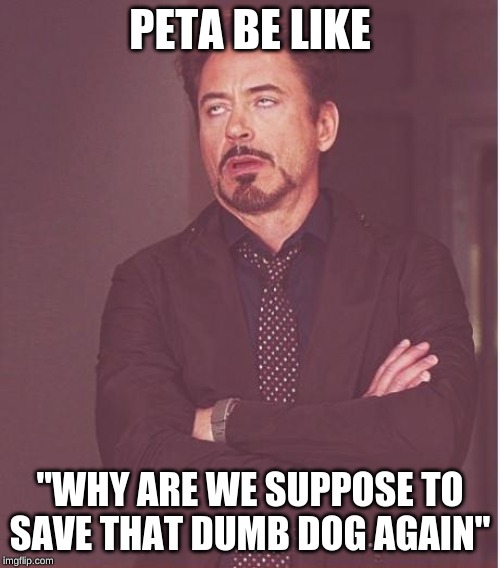 Face You Make Robert Downey Jr Meme | PETA BE LIKE; "WHY ARE WE SUPPOSE TO SAVE THAT DUMB DOG AGAIN" | image tagged in memes,face you make robert downey jr | made w/ Imgflip meme maker