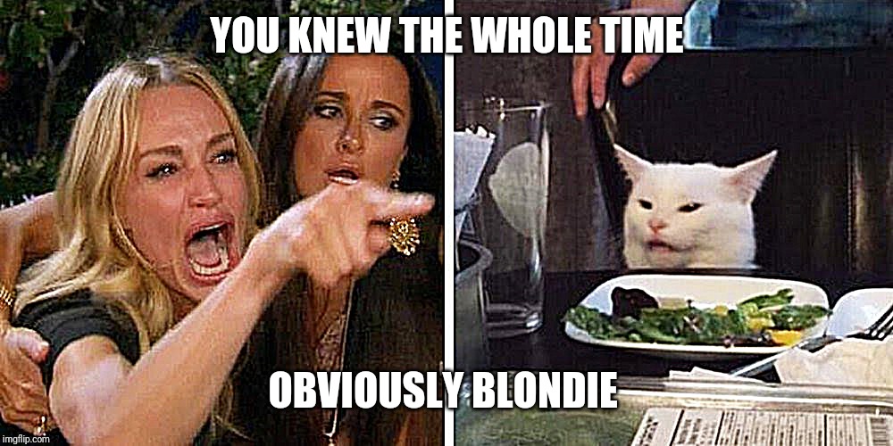 Smudge the cat | YOU KNEW THE WHOLE TIME; OBVIOUSLY BLONDIE | image tagged in smudge the cat | made w/ Imgflip meme maker