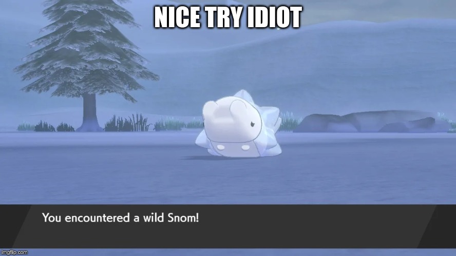 NICE TRY IDIOT | made w/ Imgflip meme maker