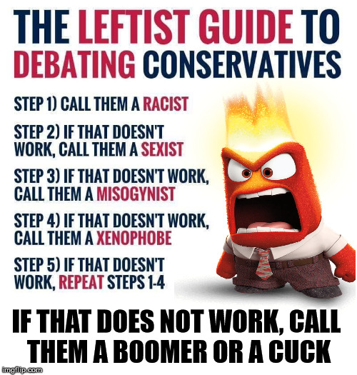 Not a fan of labels but this is kind of what I see on imgflip | IF THAT DOES NOT WORK, CALL 
THEM A BOOMER OR A CUCK | image tagged in names,cuck,ok boomer,leftists,right wing | made w/ Imgflip meme maker