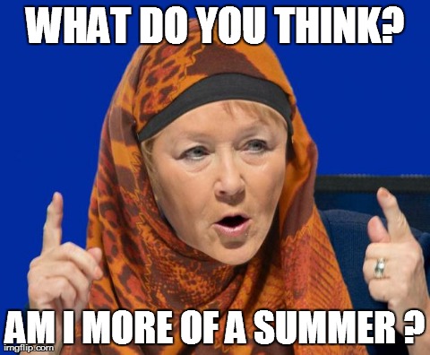 WHAT DO YOU THINK? AM I MORE OF A SUMMER ? | made w/ Imgflip meme maker