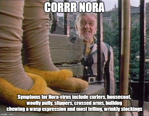 Corrr Nora-virus | CORRR NORA; Symptoms for Nora-virus include curlers, housecoat, woolly pully, slippers, crossed arms, bulldog chewing a wasp expression and most telling, wrinkly stockings | image tagged in nora,last of the summer wine,winter,virus | made w/ Imgflip meme maker