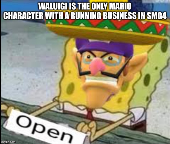 WALUIGI IS THE ONLY MARIO CHARACTER WITH A RUNNING BUSINESS IN SMG4 | made w/ Imgflip meme maker