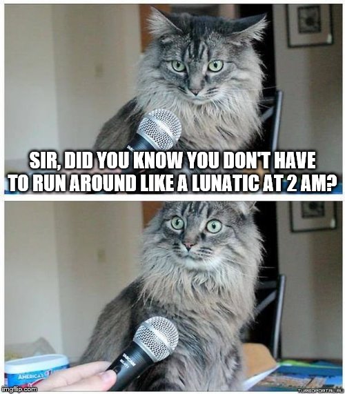 Cat interview high res | SIR, DID YOU KNOW YOU DON'T HAVE TO RUN AROUND LIKE A LUNATIC AT 2 AM? | image tagged in cat interview high res | made w/ Imgflip meme maker