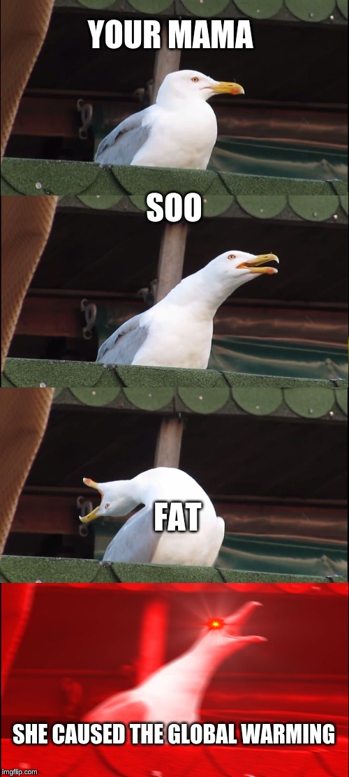 Inhaling Seagull Meme | YOUR MAMA; SOO; FAT; SHE CAUSED THE GLOBAL WARMING | image tagged in memes,inhaling seagull | made w/ Imgflip meme maker