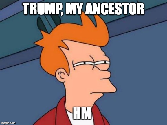 Futurama Fry | TRUMP, MY ANCESTOR; HM | image tagged in memes,futurama fry | made w/ Imgflip meme maker