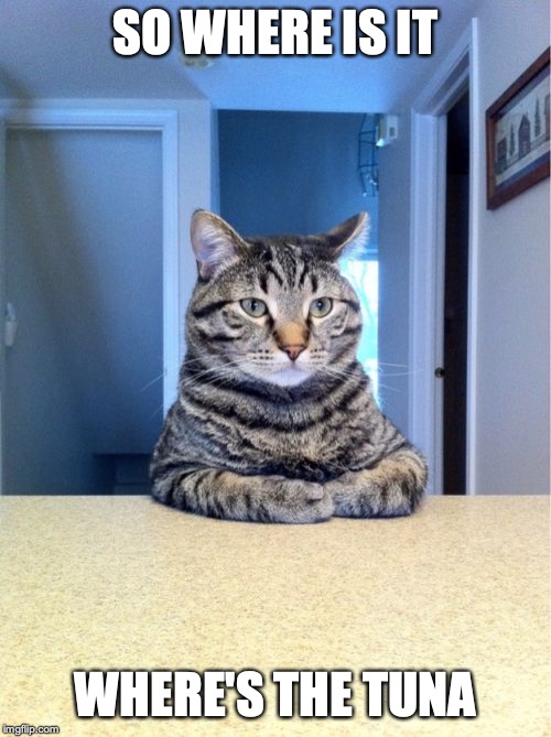 Take A Seat Cat | SO WHERE IS IT; WHERE'S THE TUNA | image tagged in memes,take a seat cat | made w/ Imgflip meme maker