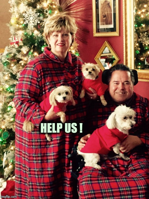 Christmas dogs | HELP US ! | image tagged in christmas dogs | made w/ Imgflip meme maker