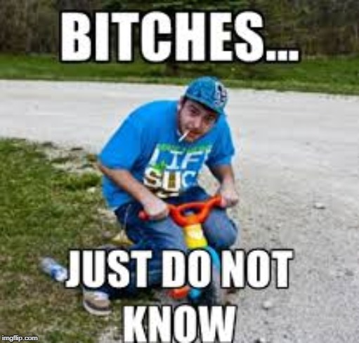 Haters | image tagged in repost | made w/ Imgflip meme maker