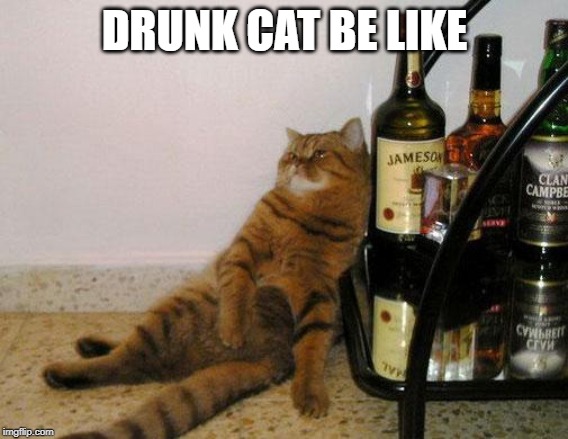 Taylor Swift Drunk Cat | DRUNK CAT BE LIKE | image tagged in taylor swift drunk cat | made w/ Imgflip meme maker