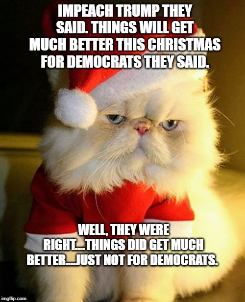 politics | IMPEACH TRUMP THEY SAID. THINGS WILL GET MUCH BETTER THIS CHRISTMAS FOR DEMOCRATS THEY SAID. WELL, THEY WERE RIGHT....THINGS DID GET MUCH BETTER....JUST NOT FOR DEMOCRATS. | image tagged in political meme | made w/ Imgflip meme maker
