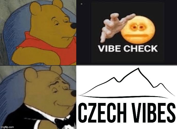 A little late but idc; may have also been used before | image tagged in vibe check,vibes,europe,memes,tuxedo winnie the pooh,funny | made w/ Imgflip meme maker