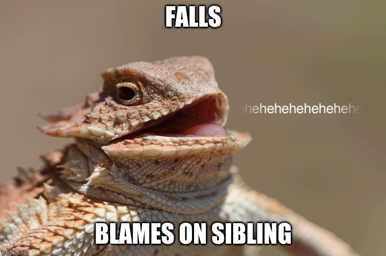 laughing lizard | FALLS; BLAMES ON SIBLING | image tagged in laughing lizard | made w/ Imgflip meme maker