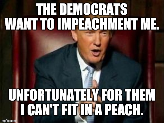 Donald Trump | THE DEMOCRATS WANT TO IMPEACHMENT ME. UNFORTUNATELY FOR THEM I CAN'T FIT IN A PEACH. | image tagged in donald trump | made w/ Imgflip meme maker