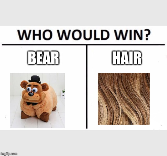 Who Would Win? | BEAR; HAIR | image tagged in memes,who would win | made w/ Imgflip meme maker