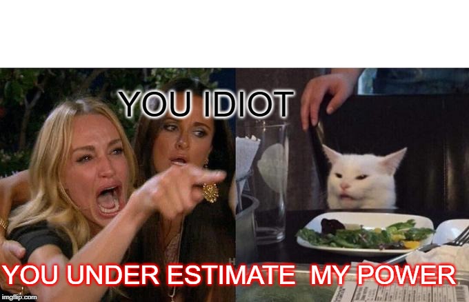 Woman Yelling At Cat | YOU IDIOT; YOU UNDER ESTIMATE  MY POWER | image tagged in memes,woman yelling at cat | made w/ Imgflip meme maker