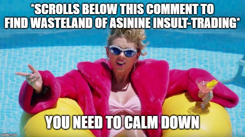 When no one replies to your thoughtful reacc meme but gets very heated with each other below. | *SCROLLS BELOW THIS COMMENT TO FIND WASTELAND OF ASININE INSULT-TRADING*; YOU NEED TO CALM DOWN | image tagged in taylor swift calm down,respect,politics,politics lol,insult,insults | made w/ Imgflip meme maker