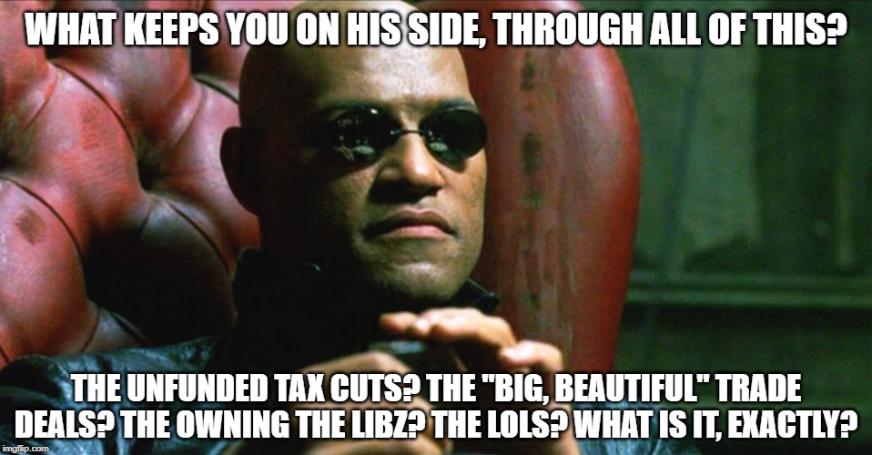 What makes them tick? The only way to find out is to ask. | WHAT KEEPS YOU ON HIS SIDE, THROUGH ALL OF THIS? THE UNFUNDED TAX CUTS? THE "BIG, BEAUTIFUL" TRADE DEALS? THE OWNING THE LIBZ? THE LOLS? WHAT IS IT, EXACTLY? | image tagged in laurence fishburne morpheus,trump,donald trump,politics,president trump,tax cuts | made w/ Imgflip meme maker