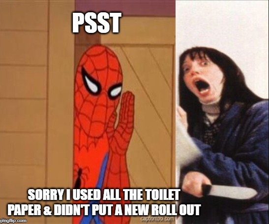 Holiday house guest | PSST; SORRY I USED ALL THE TOILET PAPER & DIDN'T PUT A NEW ROLL OUT | image tagged in funny memes,memes,toilet paper,bathroom,spiderman,here's johnny | made w/ Imgflip meme maker