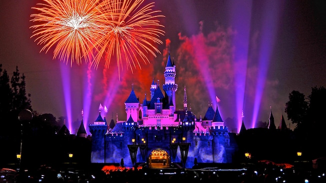 Disneyland Fireworks Blank Meme Template