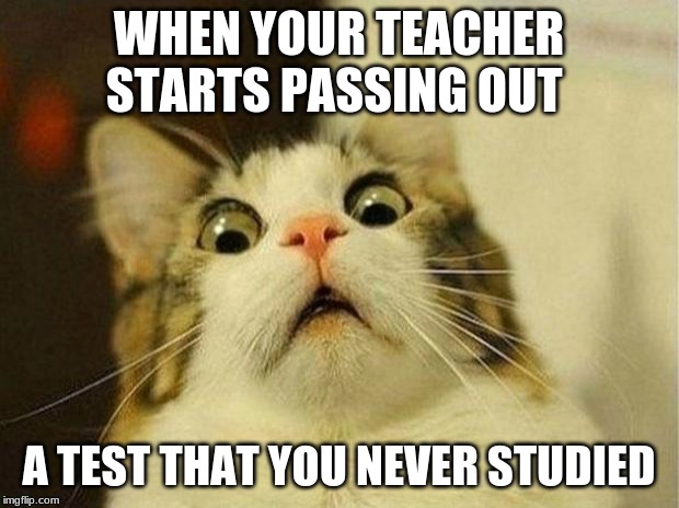 Scared Cat | WHEN YOUR TEACHER STARTS PASSING OUT; A TEST THAT YOU NEVER STUDIED | image tagged in memes,scared cat | made w/ Imgflip meme maker