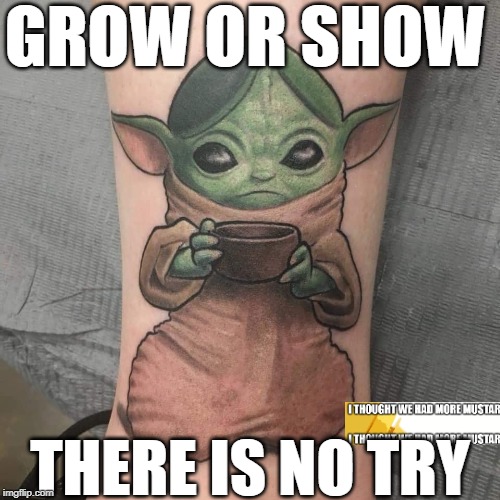Grow or Show, There is No Try | GROW OR SHOW; THERE IS NO TRY | image tagged in baby yoda | made w/ Imgflip meme maker