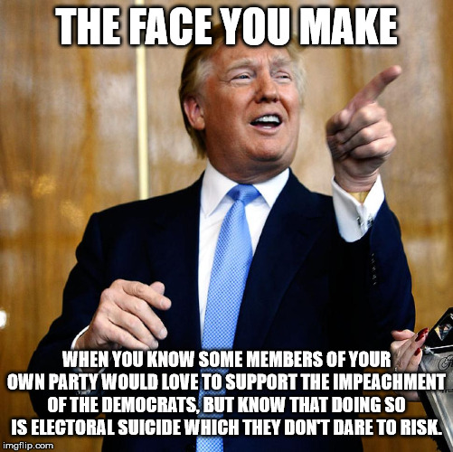 Donal Trump Birthday | THE FACE YOU MAKE WHEN YOU KNOW SOME MEMBERS OF YOUR OWN PARTY WOULD LOVE TO SUPPORT THE IMPEACHMENT OF THE DEMOCRATS, BUT KNOW THAT DOING S | image tagged in donal trump birthday | made w/ Imgflip meme maker