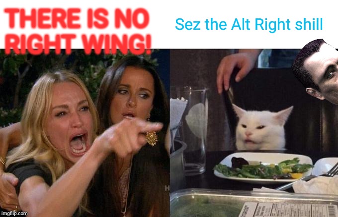 Woman Yelling At Cat Meme | THERE IS NO RIGHT WING! Sez the Alt Right shill | image tagged in memes,woman yelling at cat | made w/ Imgflip meme maker