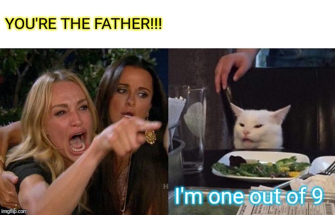 Woman Yelling At Cat | YOU'RE THE FATHER!!! I'm one out of 9 | image tagged in memes,woman yelling at cat | made w/ Imgflip meme maker