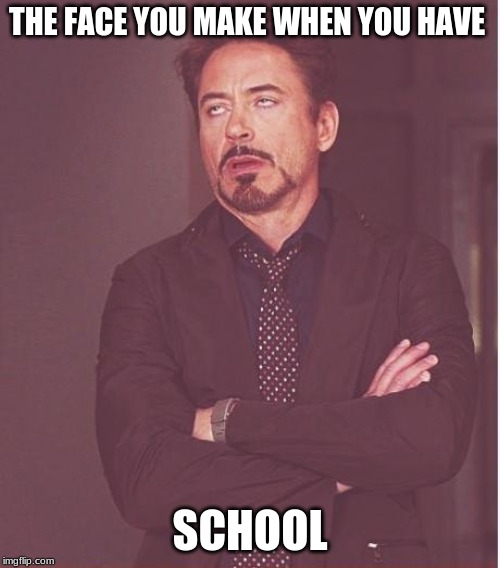 Face You Make Robert Downey Jr Meme | THE FACE YOU MAKE WHEN YOU HAVE; SCHOOL | image tagged in memes,face you make robert downey jr | made w/ Imgflip meme maker