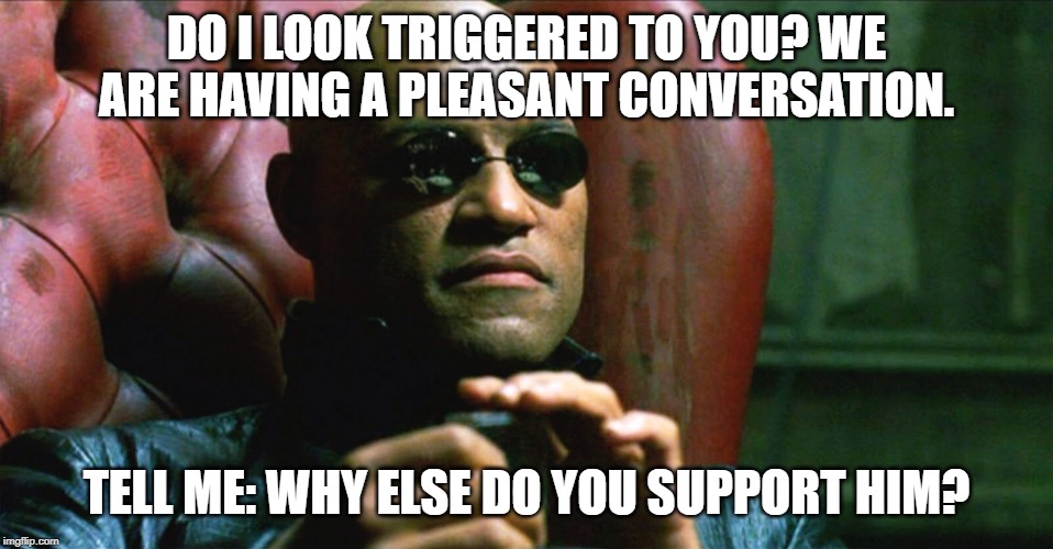 When they call you "triggered" again and you try to get the conversation back on track. | DO I LOOK TRIGGERED TO YOU? WE ARE HAVING A PLEASANT CONVERSATION. TELL ME: WHY ELSE DO YOU SUPPORT HIM? | image tagged in laurence fishburne morpheus,triggered,triggered liberal,president trump,trump,election 2020 | made w/ Imgflip meme maker
