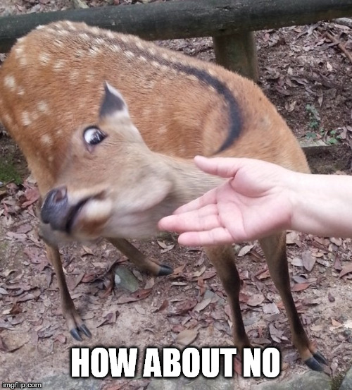 HOW ABOUT NO | made w/ Imgflip meme maker
