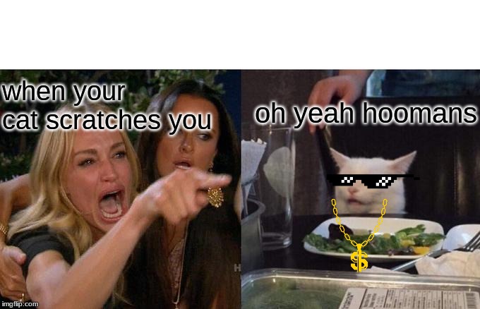 Woman Yelling At Cat | when your cat scratches you; oh yeah hoomans | image tagged in memes,woman yelling at cat | made w/ Imgflip meme maker