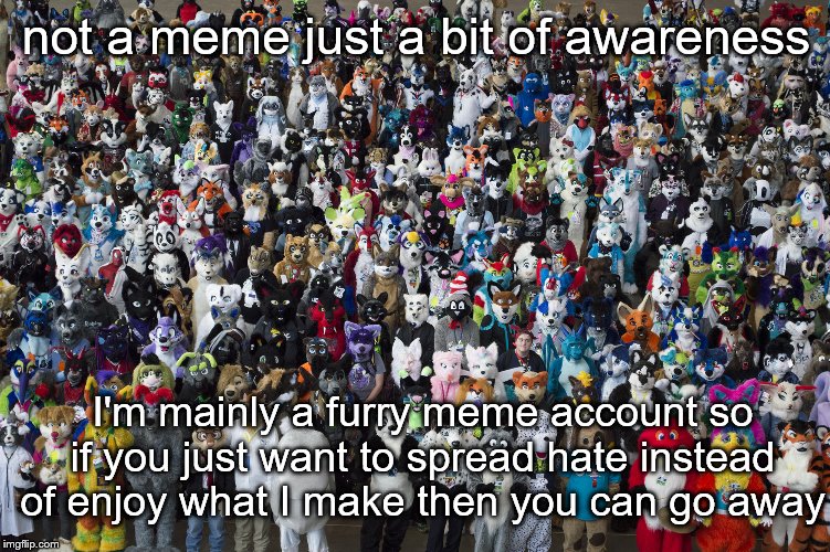 Furries | not a meme just a bit of awareness; I'm mainly a furry meme account so if you just want to spread hate instead of enjoy what I make then you can go away | image tagged in furries | made w/ Imgflip meme maker