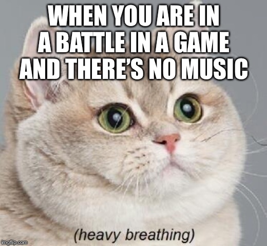 Heavy Breathing Cat | WHEN YOU ARE IN A BATTLE IN A GAME AND THERE’S NO MUSIC | image tagged in memes,heavy breathing cat | made w/ Imgflip meme maker